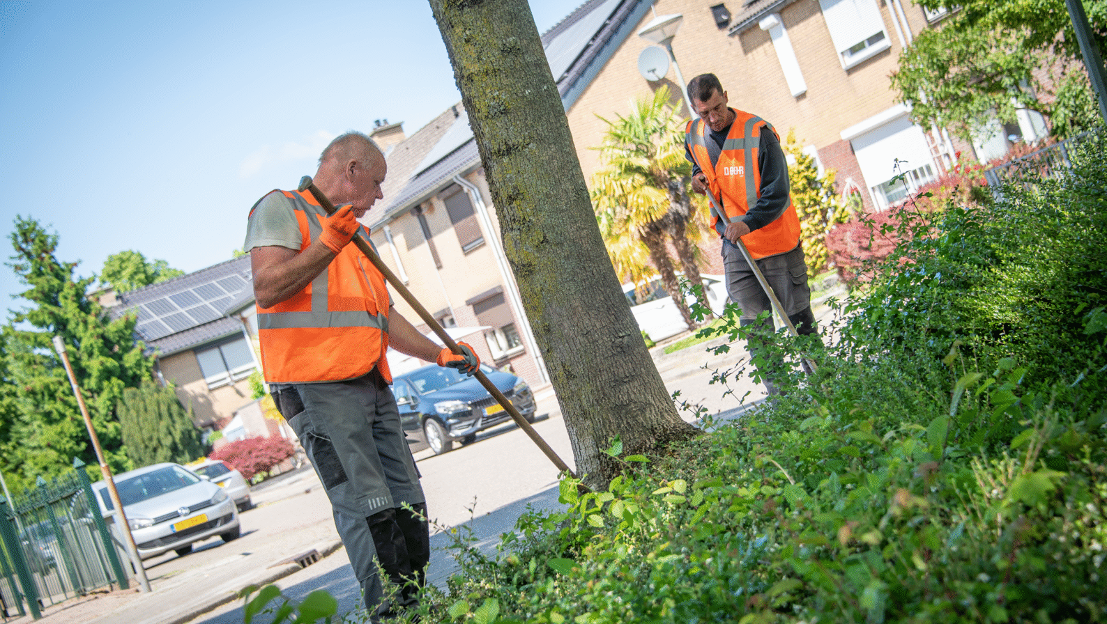 Medewerker die via Versado in dienst is bij DOOR groen