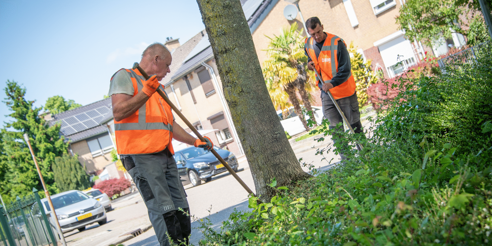 Medewerker die via Versado in dienst is bij DOOR groen